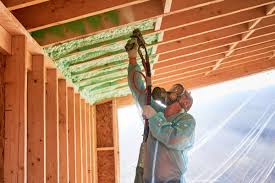 Best Pipe and Duct Insulation  in Whitesboro, TX